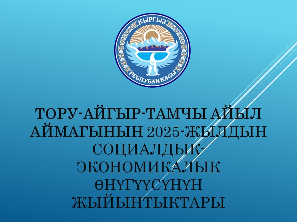 2025-жылга жергиликтүү бюджеттин аткарылышы